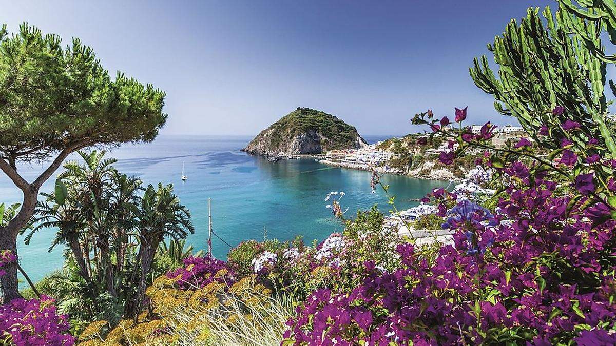 Eine Reise, drei Inseln, die im Frühling in voller Blüte stehen: Entdecken Sie im April Capri, Elba und Ischia!