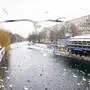 Schwäne und Möwen auf dem zum Teil zugefrorenen Berliner Landwehrkanal (Themenbild)