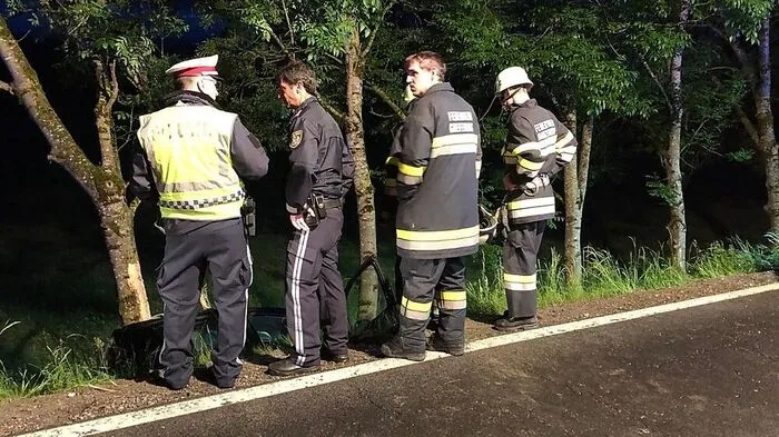 Der Mann prallte gegen eine Baumgruppe, für ihn kam jede Hilfe zu spät