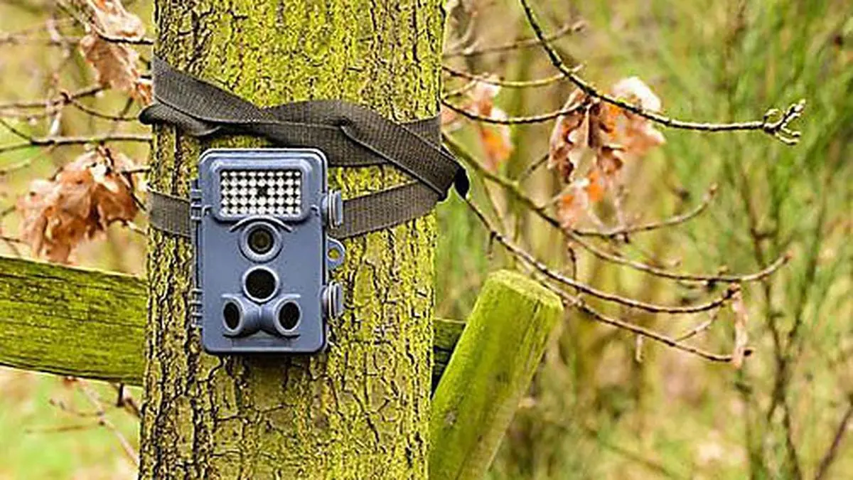 Wildkameras sollen den oder die Täter überführen. Ob das rechtmäßig ist? (Symbolbild)