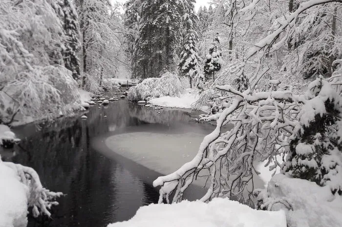 Dieses Foto ist bei einem Rundgang um den Ödensee bei Bad Mitterndorf entstanden, zugeschickt von Elisabeth Pabst aus St. Lorenzen.