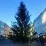 Der Christbaum wurde am Villacher Hauptplatz aufgestellt