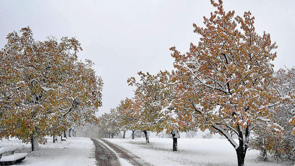 Fünf bis zehn Zentimeter Neuschnee sind heute in manchen Tälern zu erwarten