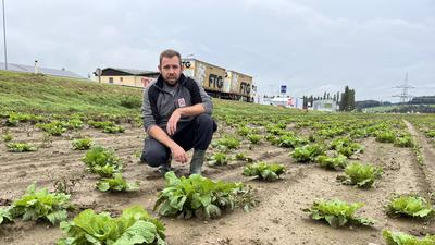 Hans-Georg Lafer auf einem seiner stark geschädigten Äcker in St. Margarethen an der Raab