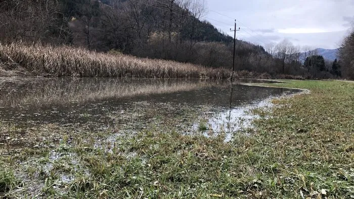 Teilweise mehr als 20 Meter vom Murufer entfernt stehen in St. Peter noch immer Wiesenflächen unter Wasser.