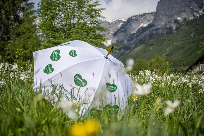 Sujet, Feature, Regenschirm, Narzisse, Narzissenfest, Wetter, Grundlsee, Regen, Schönwetter, , Wasser am 26.05.2019,Wahl zur Narzissenkönigin 2019