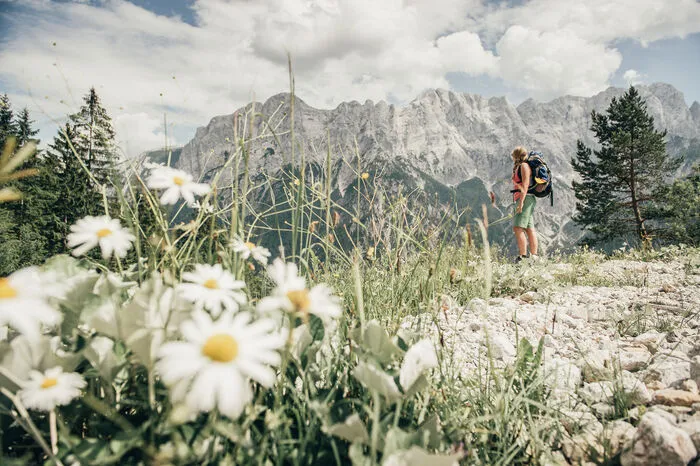 Nationalpark Gesäuse – Natürlich Fotos!Über 90 Brutvogelarten und die einzigartige Orchideenvielfalt beeindrucken im Nationalpark Gesäuse in der Steiermark. Inmitten der von Felsen, Almen und Wäldern geprägten Landschaft findet sich am Ufer der Enns das Erlebniszentrum Weidendom – mit dem weltweit ersten begehbaren ökologischen Fußabdruck. Besonderer Höhepunkt für den Sommer: Die Fotoschule Gesäuse. Im Rahmen von Fotowanderungen, Seminaren und Workshops entfalten sich die unzähligen Motive, die die Natur offenbart.