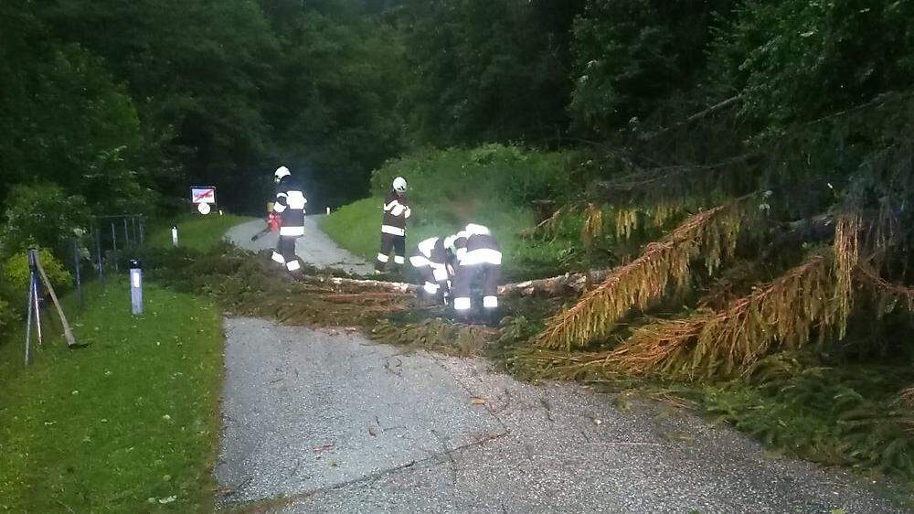 Die Feuerwehren im Bezirk mussten durch das Unwetter zahlreiche Straßen von umgestrüzten Bäumen befreien