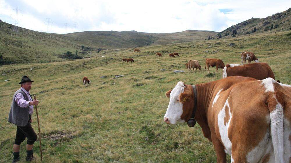 Wo derzeit noch Kühe grasen, könnte ein Pumpspeicherkraftwerk errichtet werden