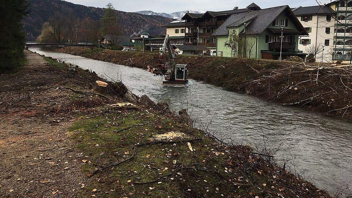 Mit Rodungsarbeiten entlang des Riegerbachs wurde nun begonnen