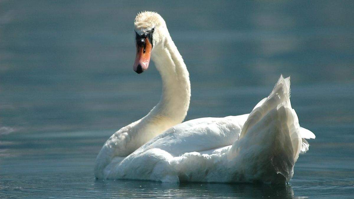 Die Temperaturen erreichen am Freitag bis zu 30 Grad