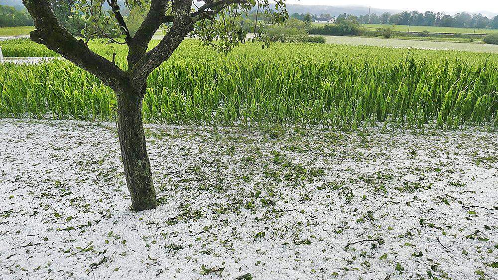 Hagel zerstörte heuer schon mehrere Tausend Hektar Agrarflächen