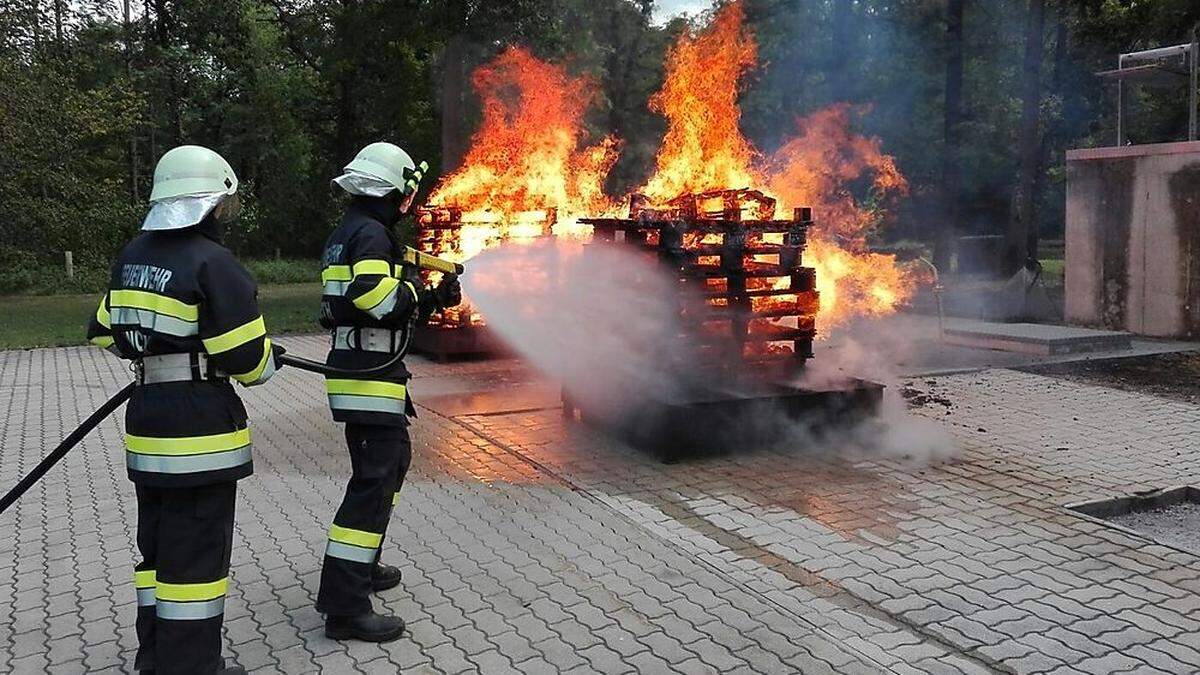 Ein Holzstapelbrand musste gelöscht werden