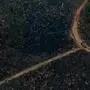 TOPSHOT - Aerial view showing a truck carrying tree trunks along a road in a deforested area in the surroundings of Boca do Acre, a city in Amazonas State, in the Amazon basin in northwestern Brazil, on August 24, 2019. - Brazil on August 25 deployed two Hercules C-130 aircraft to douse fires devouring parts of the Amazon rainforest. The latest official figures show 79,513 forest fires have been recorded in the country this year, the highest number of any year since 2013. More than half of those are in the massive Amazon basin. Experts say increased land clearing during the months-long dry season to make way for crops or grazing has aggravated the problem this year. (Photo by LULA SAMPAIO / AFP)