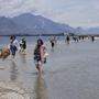 Touristen wateten zu Fuß zur Insel San Biagio im Gardasee