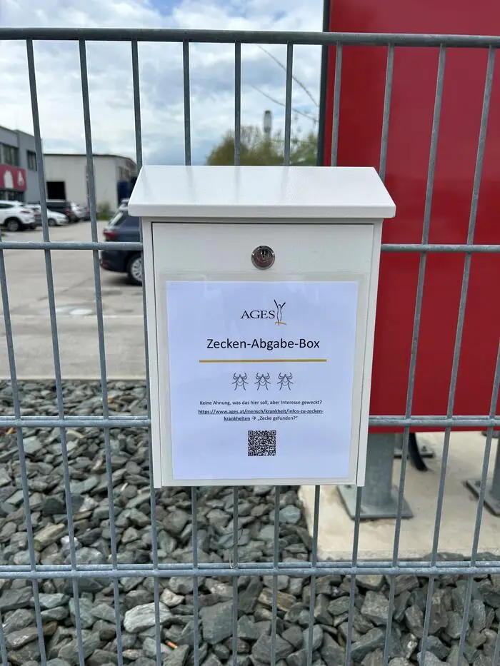 Um die Ausbreitung der Riesenzecke zu dokumentieren, können Tiere in der Liberogasse 6 in Klagenfurt abgegeben werden