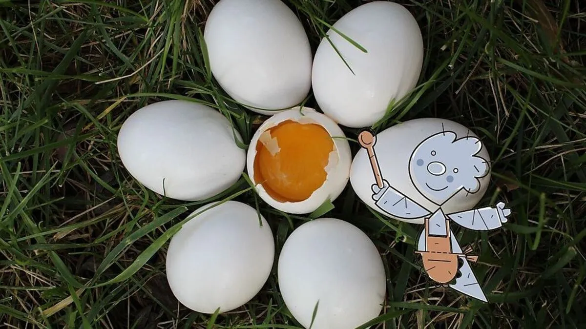 Lachseier zum Frühstück (Symbolbild)