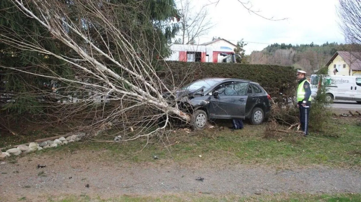 Der Pkw rasierte zuerst eine Thujenhecke ab und krachte dann gegen einen Baum