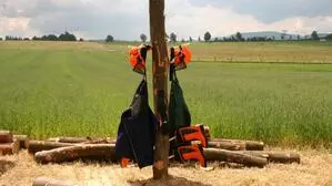 Zwei Forstarbeiter haben Schnittschutz- und Arbeitskleidung gestohlen (Sujetfoto)