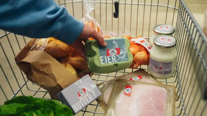 Einkaufswagen