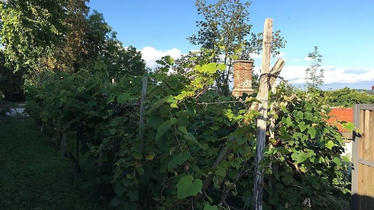 Sonnig, aber frisch verabschiedet sich der September
