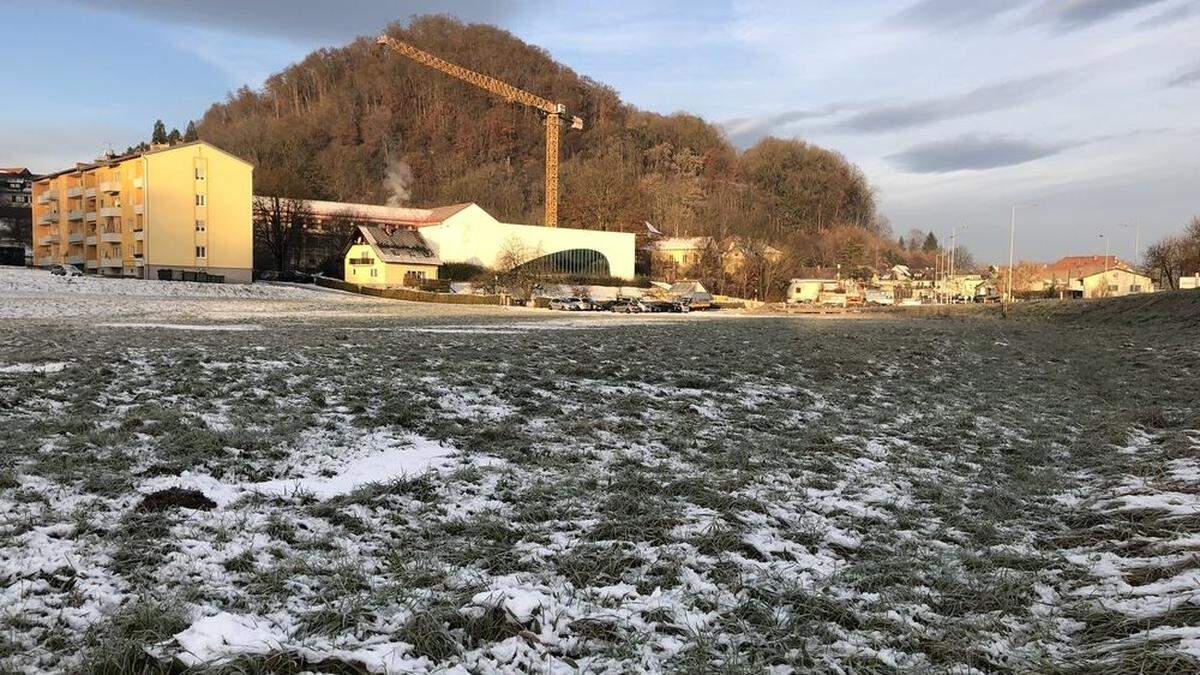 Auf der Unteren Marktwiese am Ortsrand von Wildon könnten rund 150 Wohneinheiten entstehen. Der Gemeinderat ist darüber uneins 