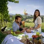 Picknick in der Steiermark
