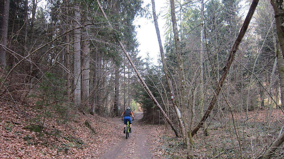 Eine neue Mountainbike-Route wird von Klagenfurt nach Maria Saal errichtet.
