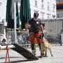 Vorführung im Rahmen des internationalen Tages des Rettungshundes