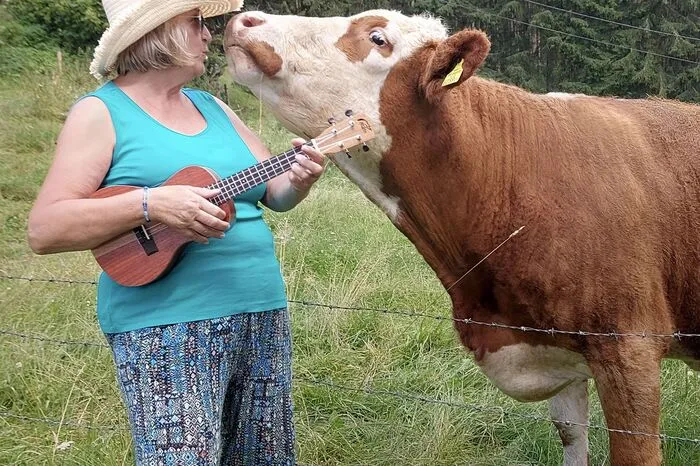 Der zweite Platz geht an Henriette Gutt. In Lölling Sonnseite hat die Kärntnerin eine musikalische Freundschaft der besonderen Art geschlossen. 