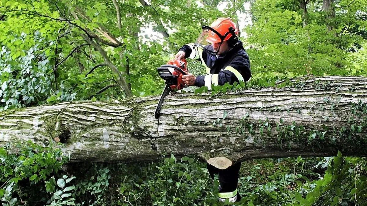 Die Feuerwehr zersägte den Baum fachgerecht