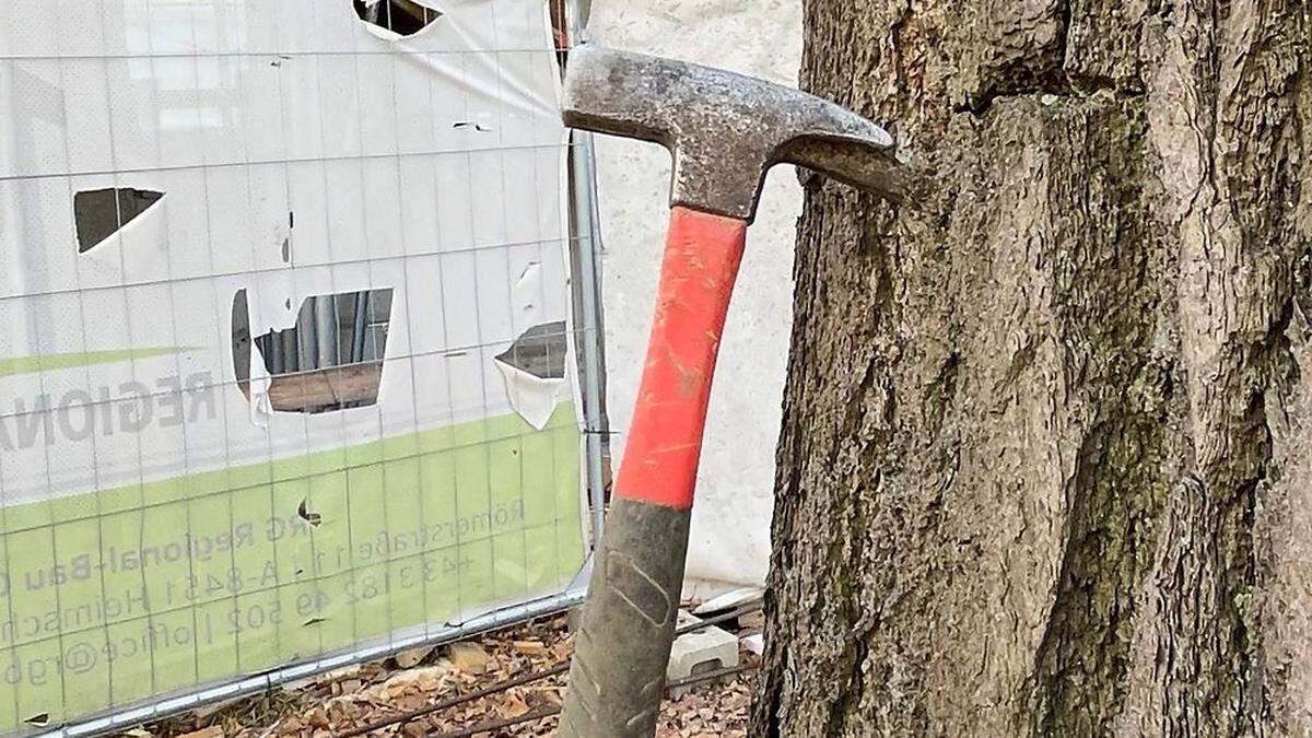 Ein Naturdenkmal als Hammer-Halter: Das hat der Naturschutzbund bei einer Baustelle in Graz dokumentiert