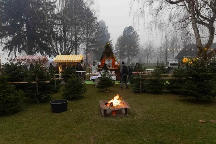 Auch ein Christbaumverkauf war Teil des Angebots.