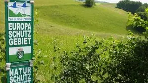 Im Natura-2000-Gebiet im südoststeirischen Hügelland hat ein Landwirt eine geschützte Wiese umgebaut (Sujetbild)