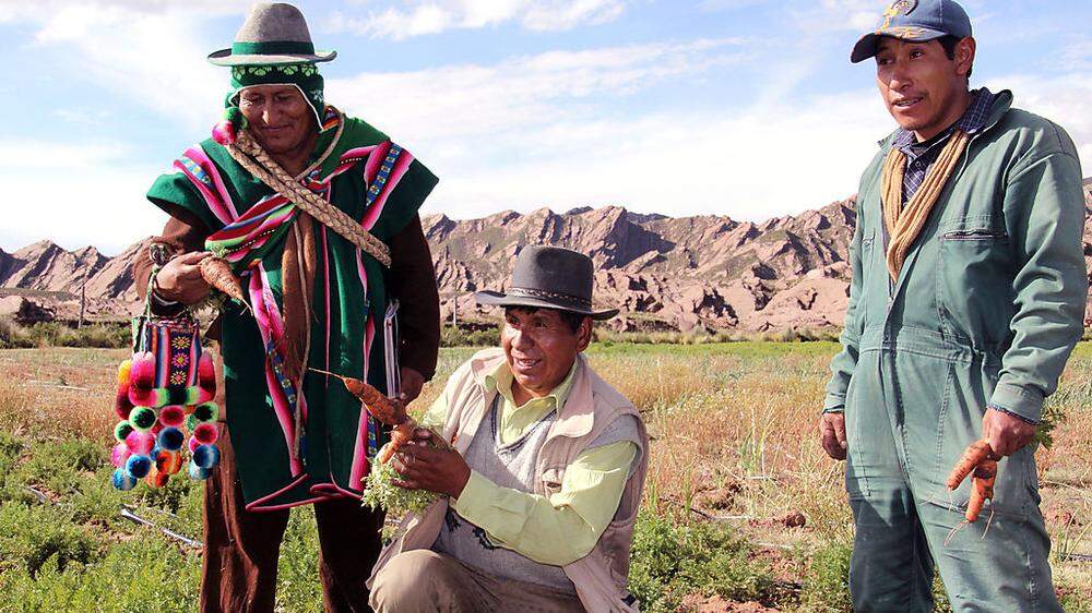 Der Klimawandel macht den Bauern im bolivianischen Hochland zu schaffen