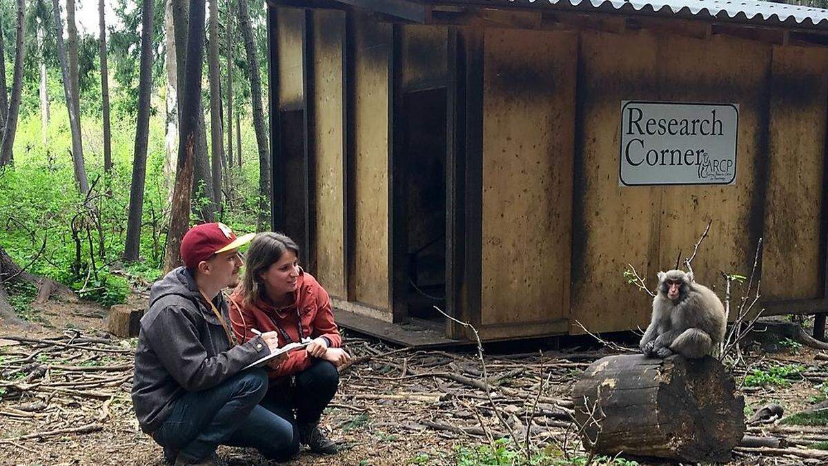 Forscherteams werden auch weiterhin am Affenberg arbeiten