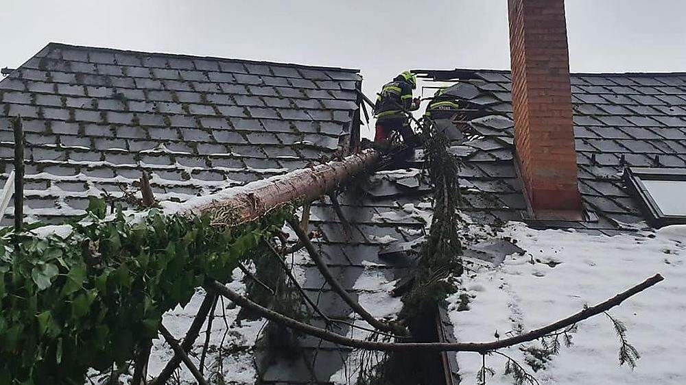 Die Einsatzkräfte der FF Krems mussten den umgestürzten Baum bergen und das Dach provisorisch abdichten