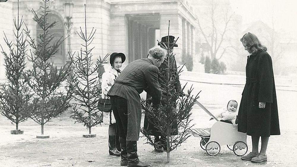 Christbaummarkt 1948: Die Bäume wurden früher in Kärnten nicht immer aufrecht aufgestellt