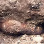 immer wieder werden bei Grabungsarbeiten Fliegerbomben entdeckt