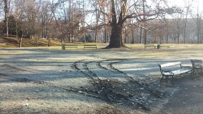 Vandalismus im Stadtpark: Mit einem Auto...