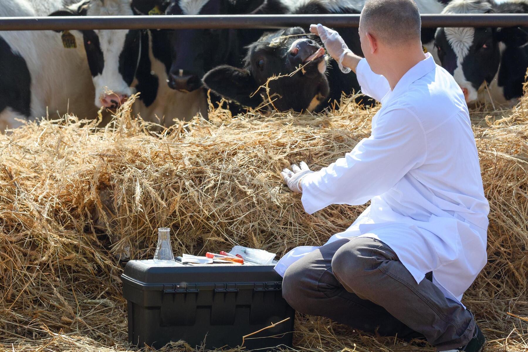 Landtag fordert Tierhalteverbot: „Das ist eine Far