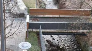 Direkt vor dem Gemeindeamt überquerte der Wolf eine Brücke