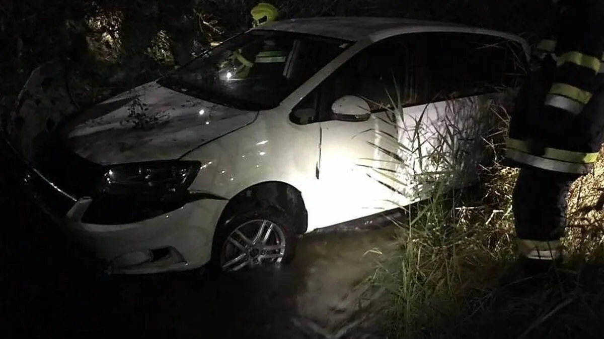 Rund 40 Einsatzkräfte standen bei der Bergung des Fahrzeuges aus dem Trixnerbach im Einsatz