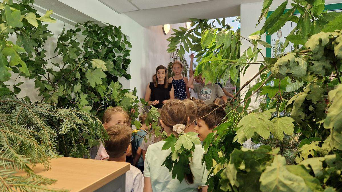 Die Södinger Volksschule Fridolin Rolke hat neuerdings einen Klassenwald