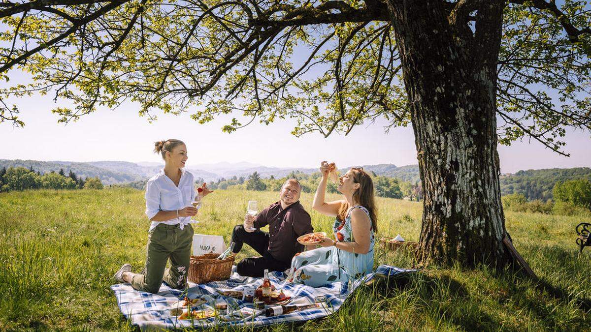 Das Picknick soll heuer in der Region zum touristischen Thema werden