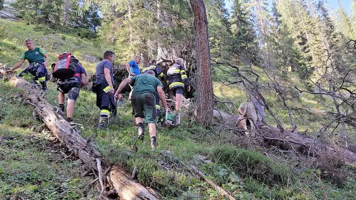 Zwölf Feuerwehrleute begaben sich zur Rettung der Kalbin ins unwegsame Gelände