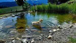 Hier ist er Hund, hier darf er‘s sein: Im „Haus Mauken“ gibt es einen Teich für Vierbeiner (und Menschen)