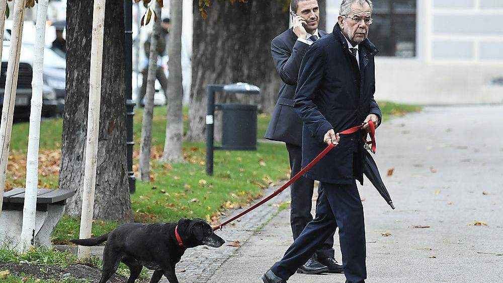 Gassigehen mit dem Präsidenten: Alexander Van der Bellen, Hund Kita