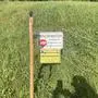 Zwei Warnschilder, die auf eine Videoüberwachung und auf ein Privatgrundstück hinweisen, hängen an einem Zaun in einer Wiese | Schilder weisen auf Privateigentum und Videoüberwachung hin. Der Weidezaun hält aber nicht den nötigen Abstand zur Straße ein