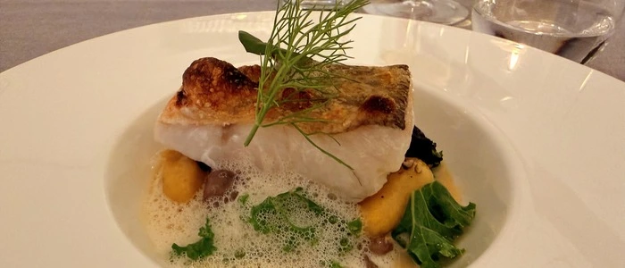 Purbacher Zander I Lange von Neapel I Erdäpfelgnocchi